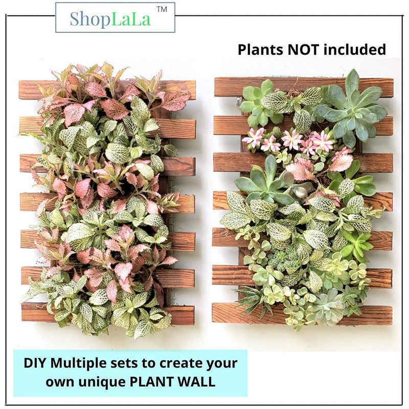 ShopLaLa Wall Planter - 2 Pack Wooden Orchid Planter Frame Display Outdoor Plants, Wall Mount Air Plants Succulent Holder Hanger, Vertical Garden Plant Wall Decor Macetas para Orquideas 15.7" (40cm) - Image 4